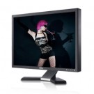 24" Widescreen Flat-Panel LCD Monitor